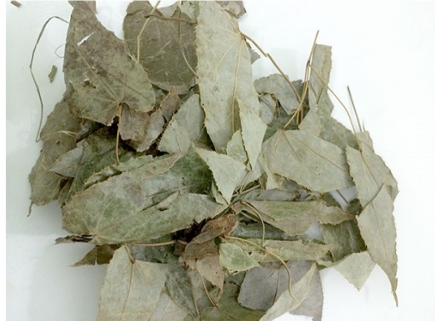 Lá dâm dương hoắc túi 500g