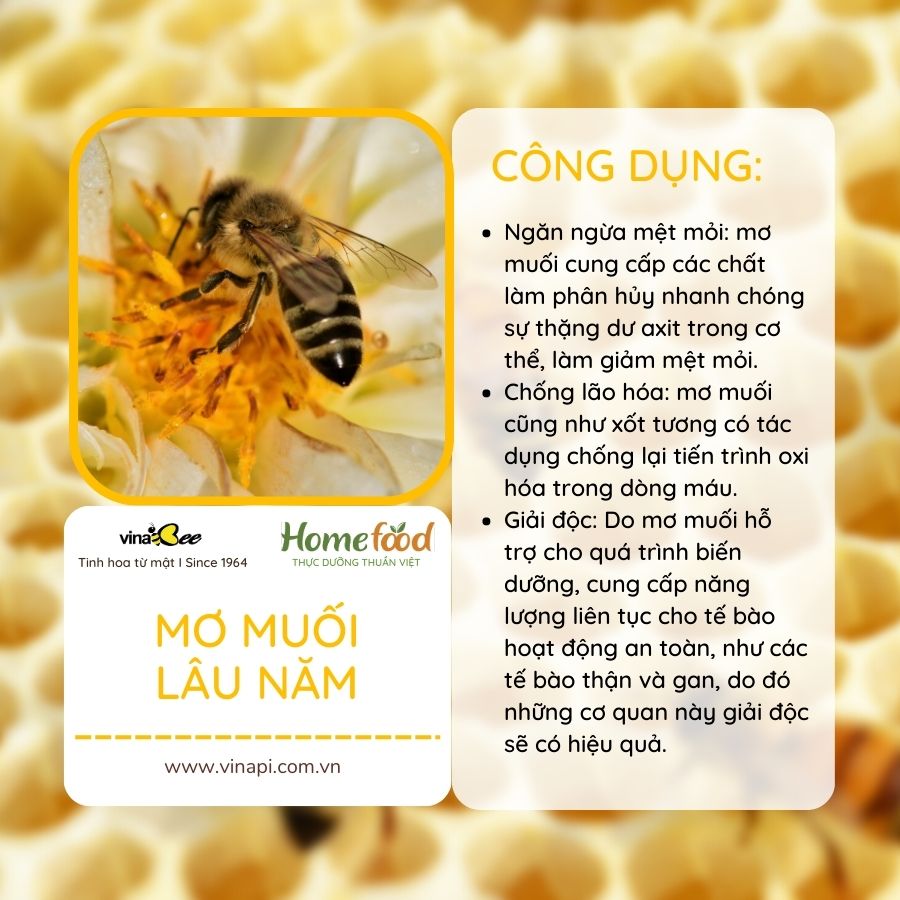 Mơ muối 100g
