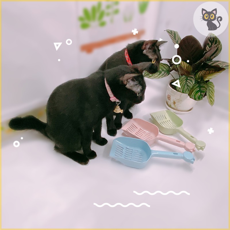 Xẻng xúc cát vệ sinh cho mèo (cán xẻng hình mèo) - Py Pug & Cat Mun