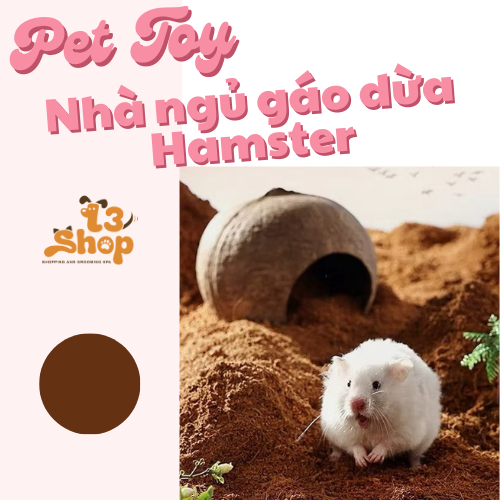 nhà gáo dừa cho hamster / chim / sóc / bò sát - T3 PETS SHOP