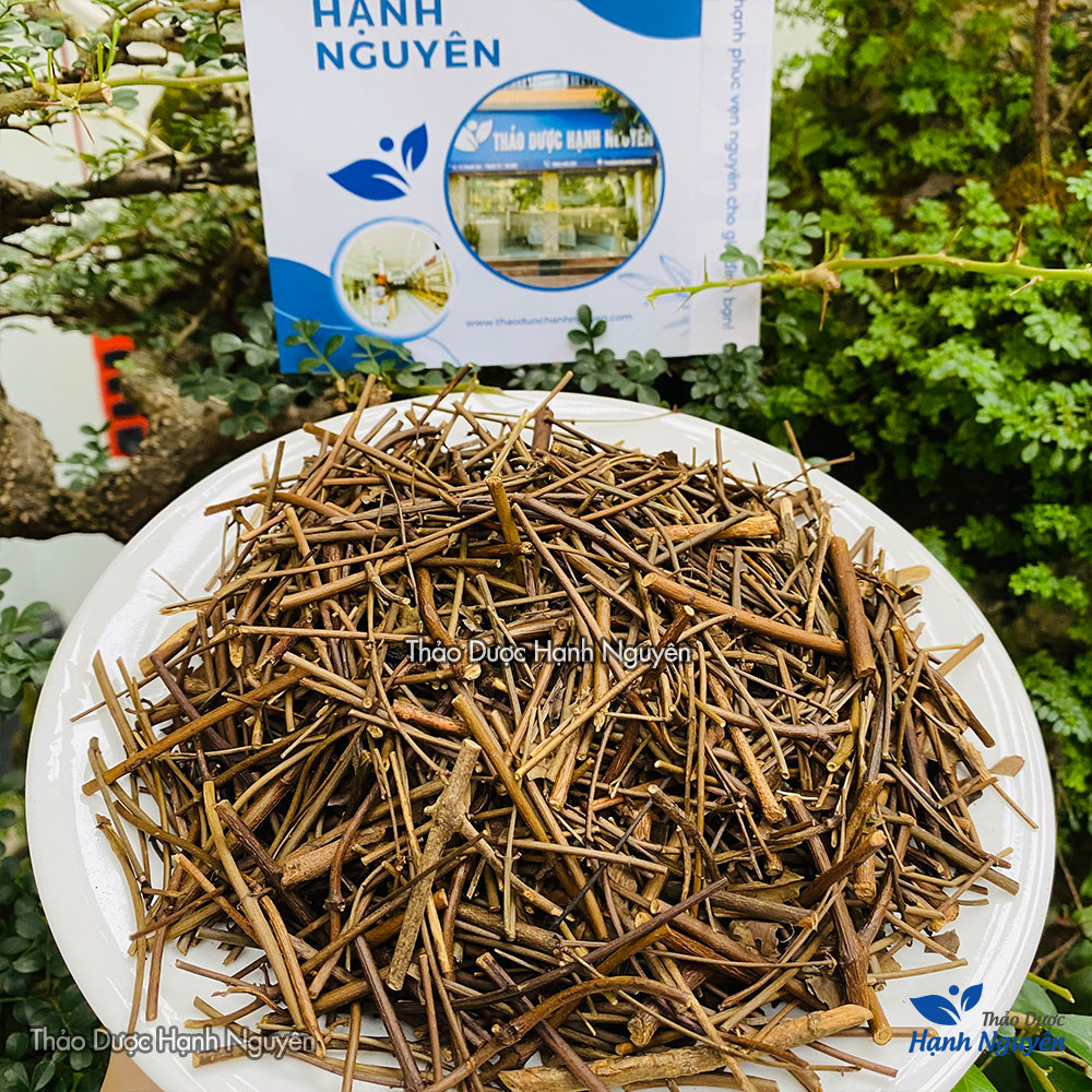 Chè Vằng Lá Sẻ 100g (Sao Vàng Hạ Thổ)