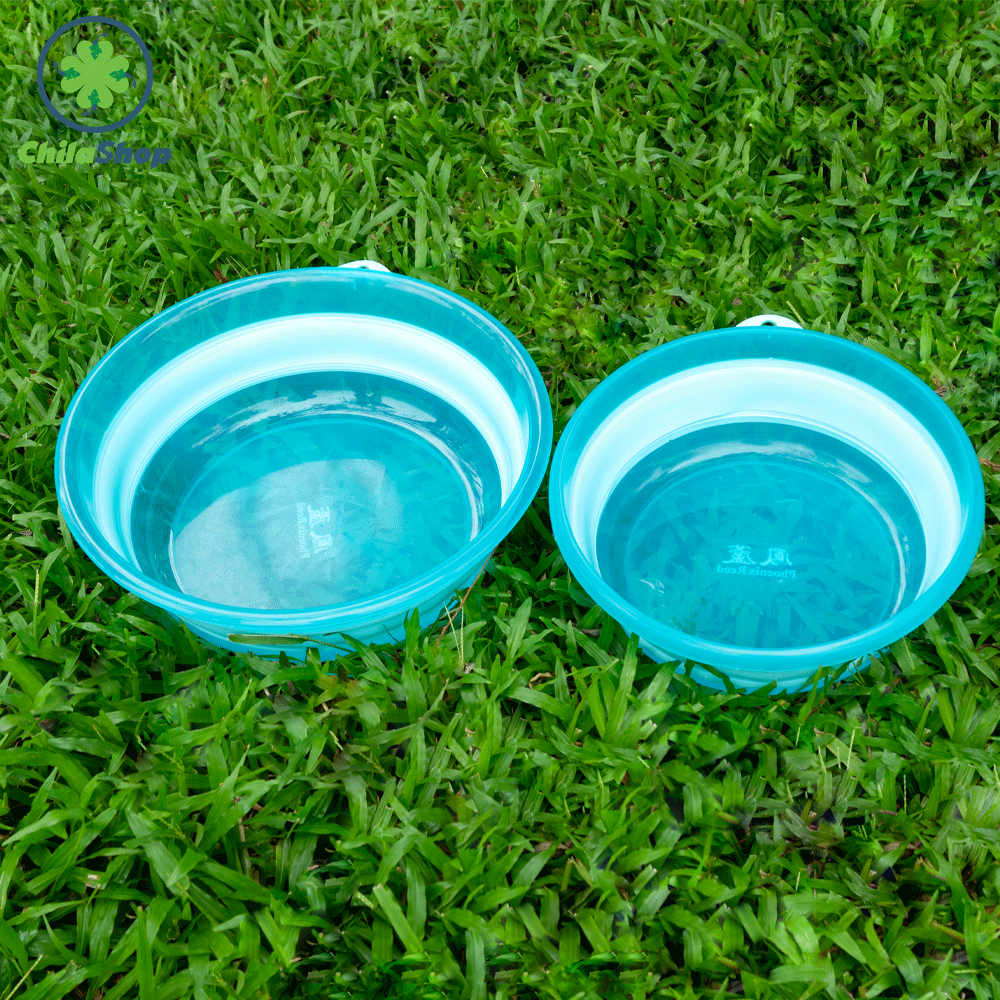 THAU XẾP PHOENIX