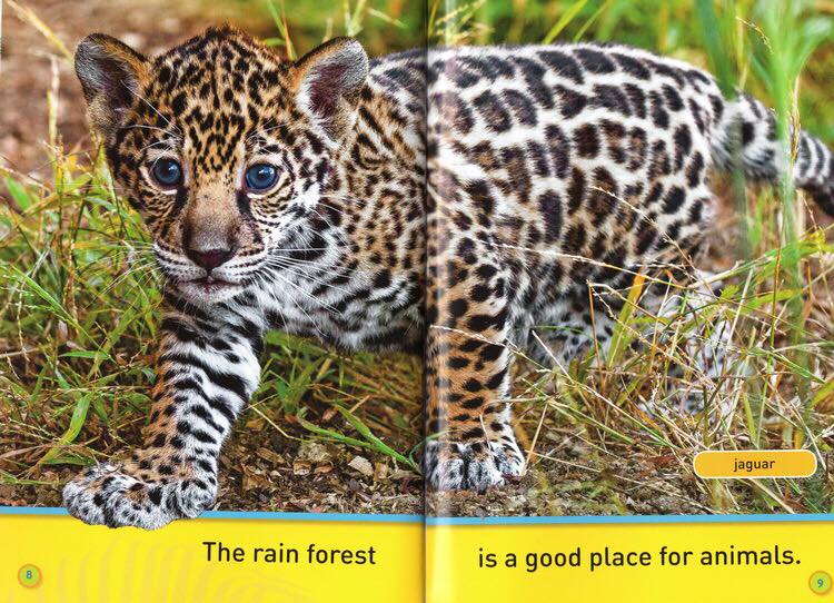 Bản nhập - National Geographic kids - Level Pre K - 30c