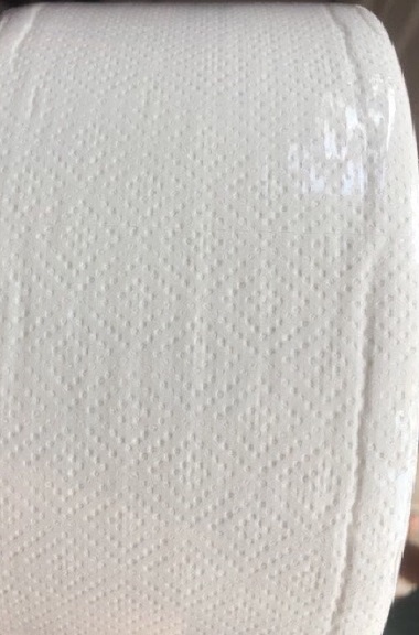 Giấy vệ sinh cuộn loại lớn (500gr)