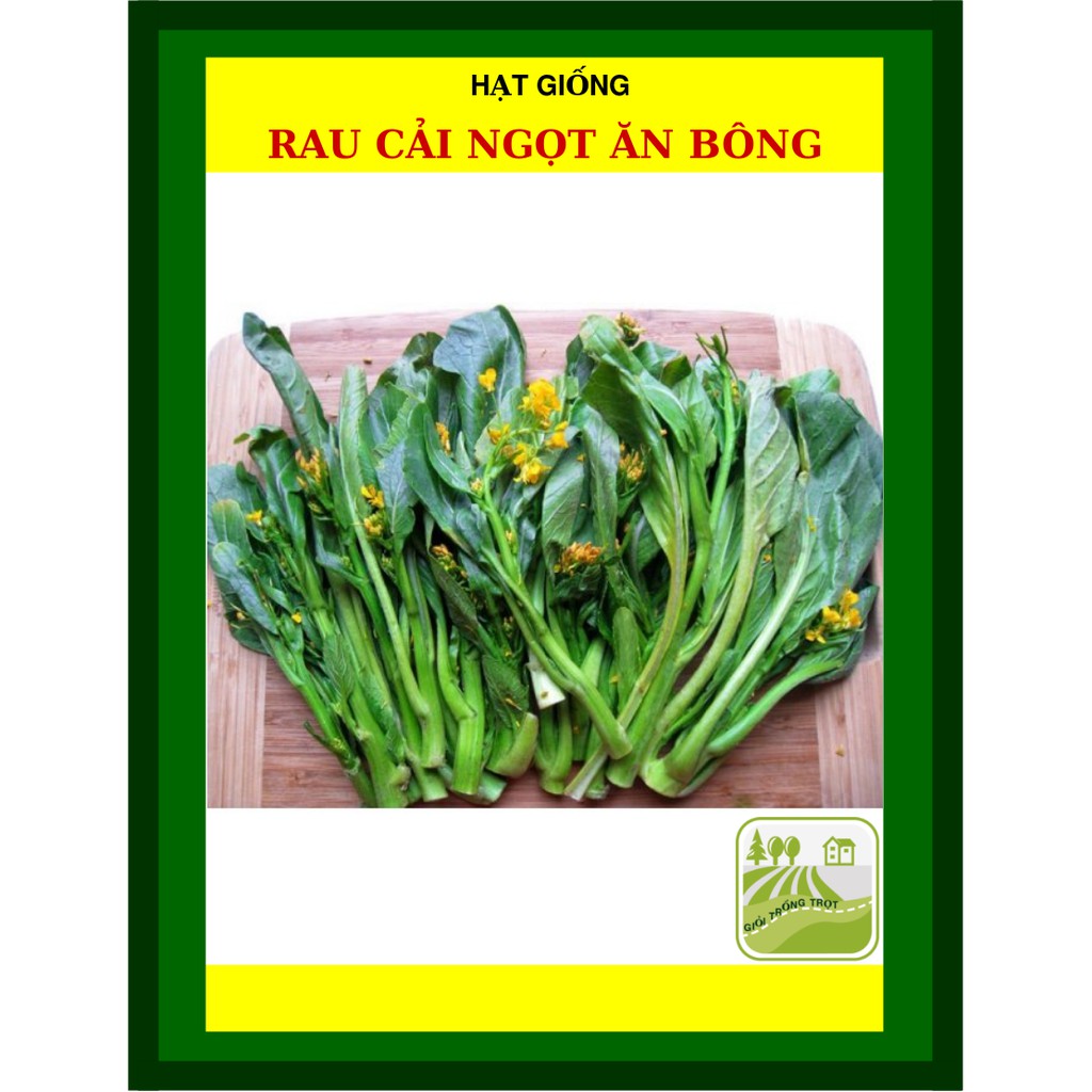 20G - Hạt Giống Cải ngọt Ăn Bông