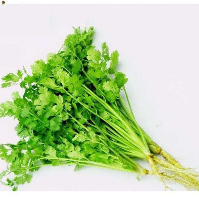 Hạt ngò rí - gói 20 gram