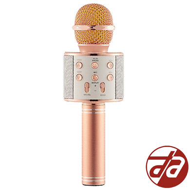 [HCM]Micro Karaoke Kiêm Loa BLUETOOTH WS858
