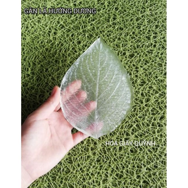 Gân lá hướng dương- resin trong