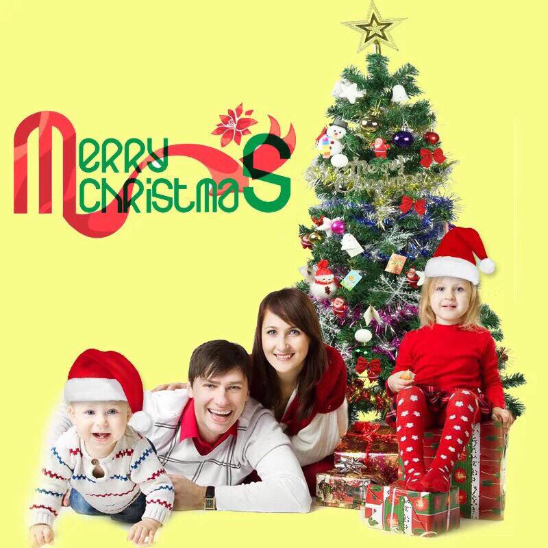 CÂY THÔNG NOEL 160CM FULL PHỤ KIỆN( Đầy đủ 92 chi tiết )