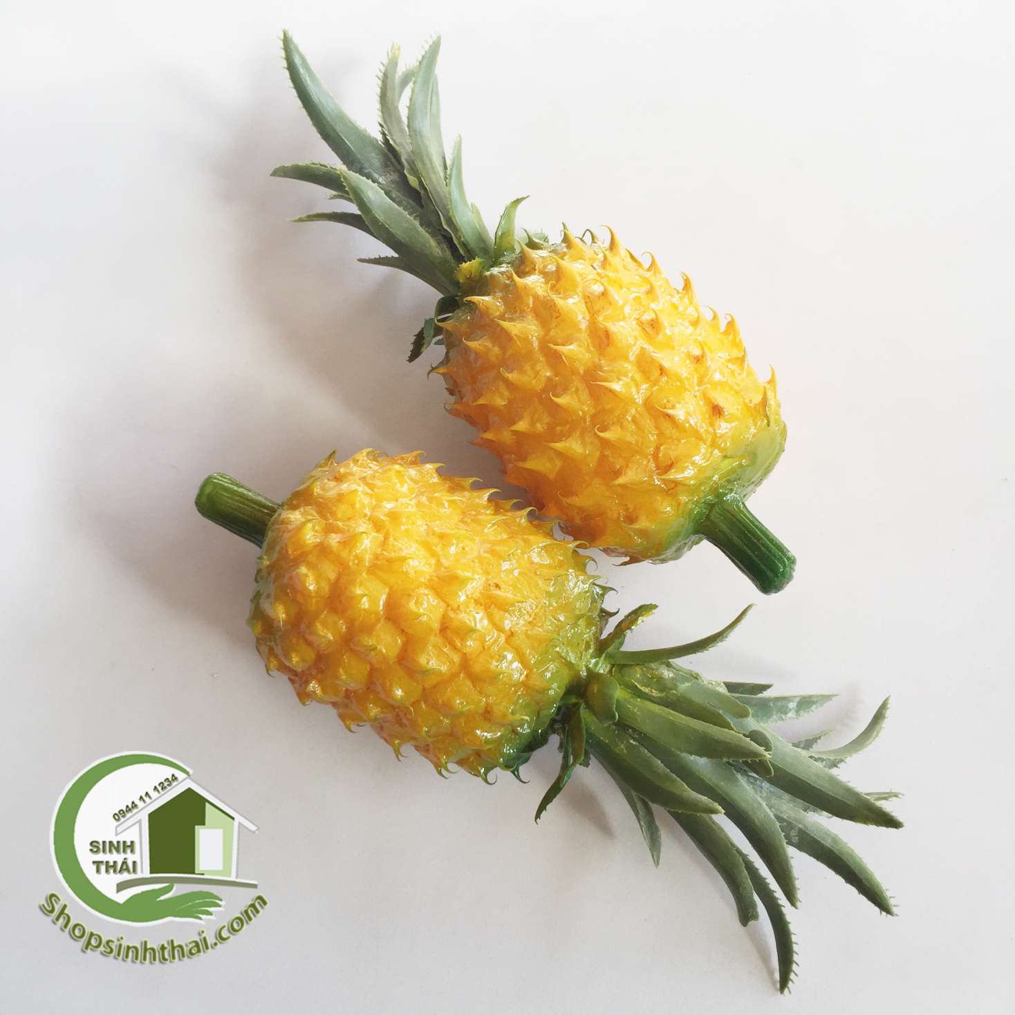 [HCM]Trái khóm trái thơm quả dứa giả màu vàng