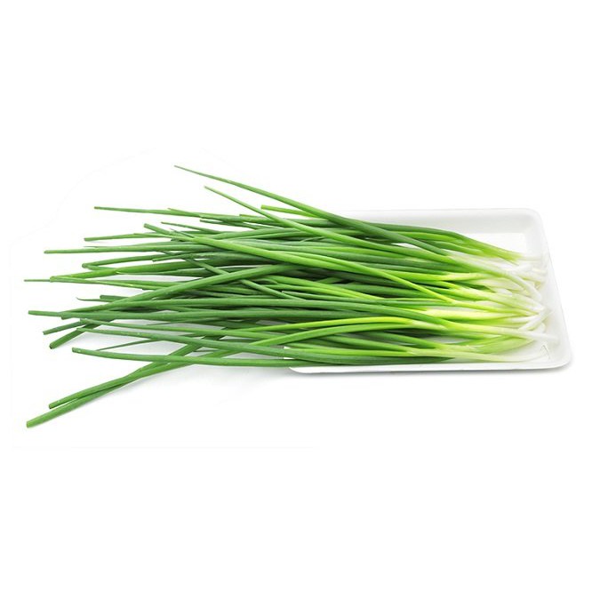 [HCM]Hạt giống hành hương - hành lá