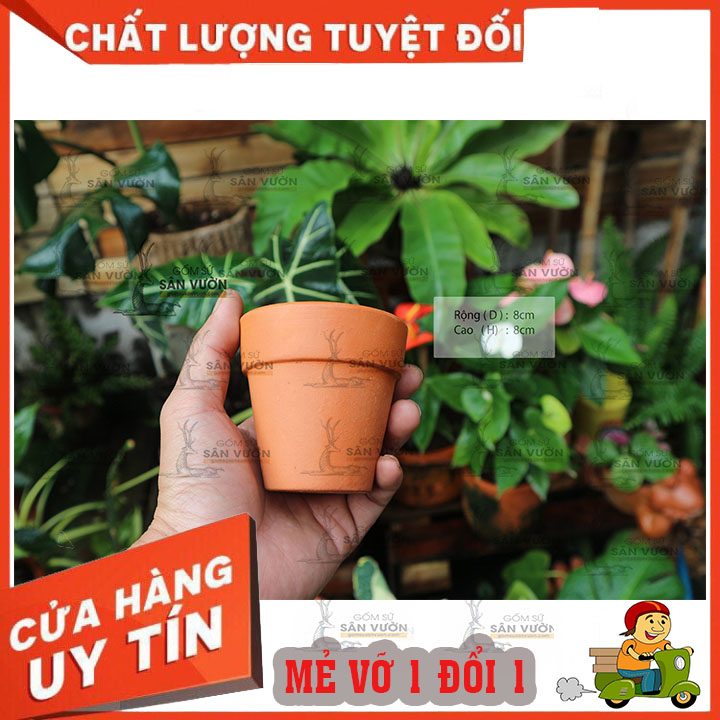 Combo 6 Chậu Gốm Đất Nung Ly Gờ Cao 8 cm - Gốm Sứ Sân Vườn