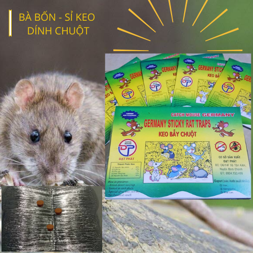 [KEO XỊN] Combo 20 keo dính chuột Keo bẫy chuột (Đã có mồi)