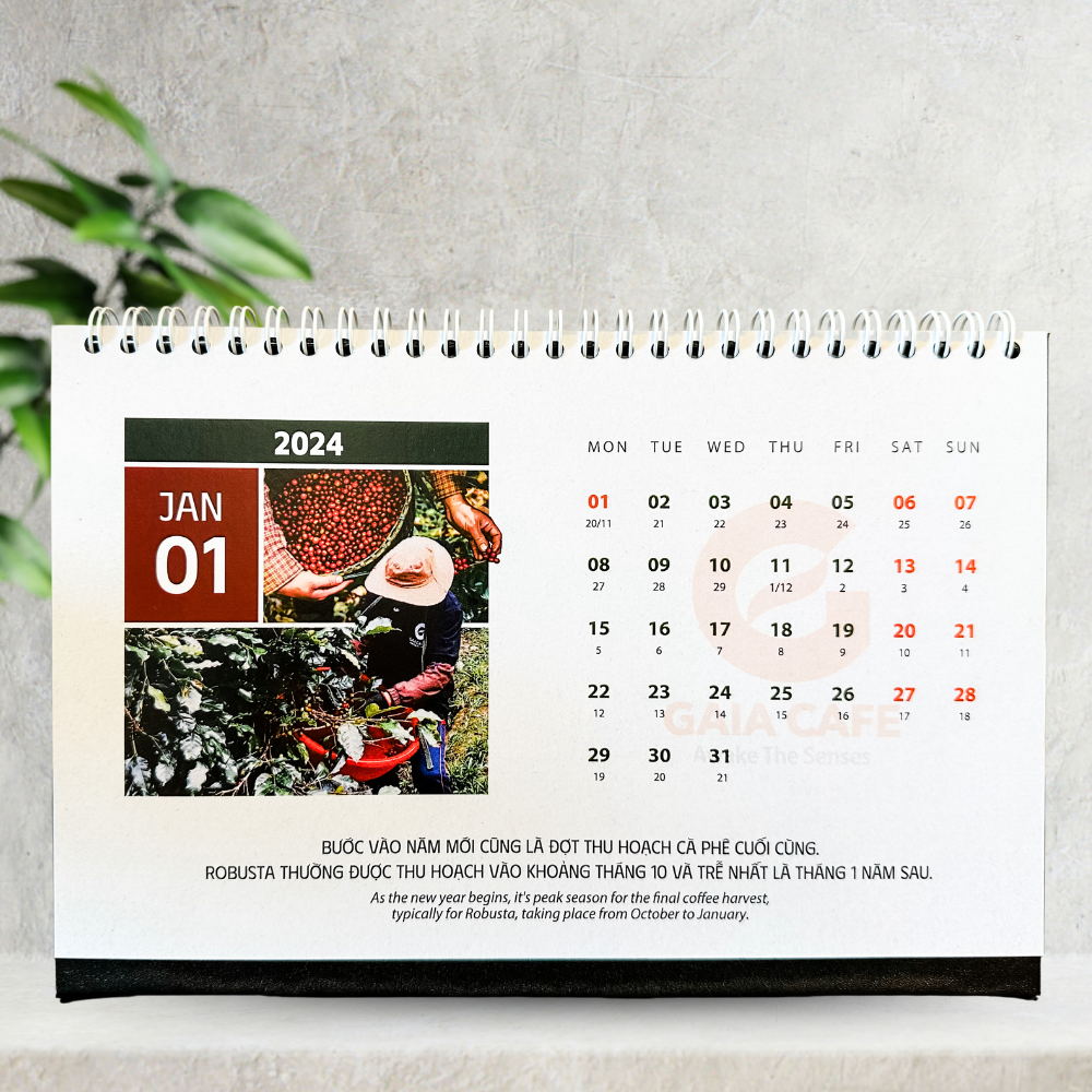 LỊCH ĐỂ BÀN 2024 GIÁP THÌN - GAIA CAFÉ