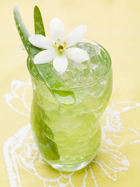 Thạch Nha Đam Gói 1kg (32k)