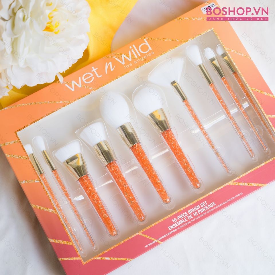 BỘ CỌ 10 CÂY WET N WILD ENSEMBLE DE 10 PINCEAUX  - 5021
