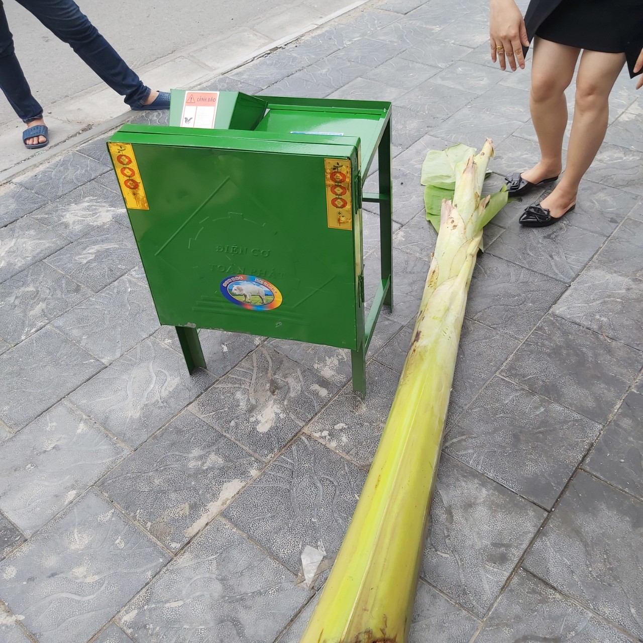 Nơi bán máy thái cỏ băm chuối cho bò ăn- Máy băm chuối tại Gia Lai