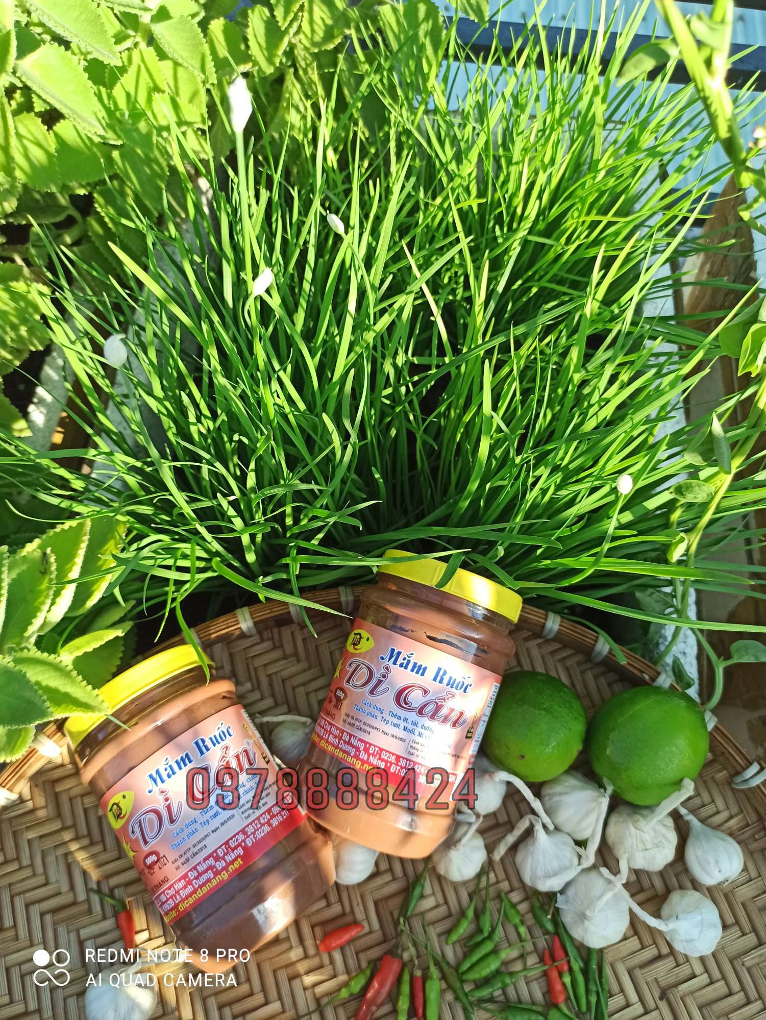 [HCM]2 hủ Mắm Ruốc Dì Cẩn 500g