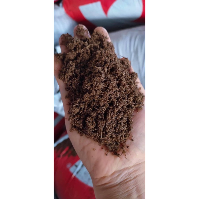 Giá Thể Ươm Hạt Peat Moss