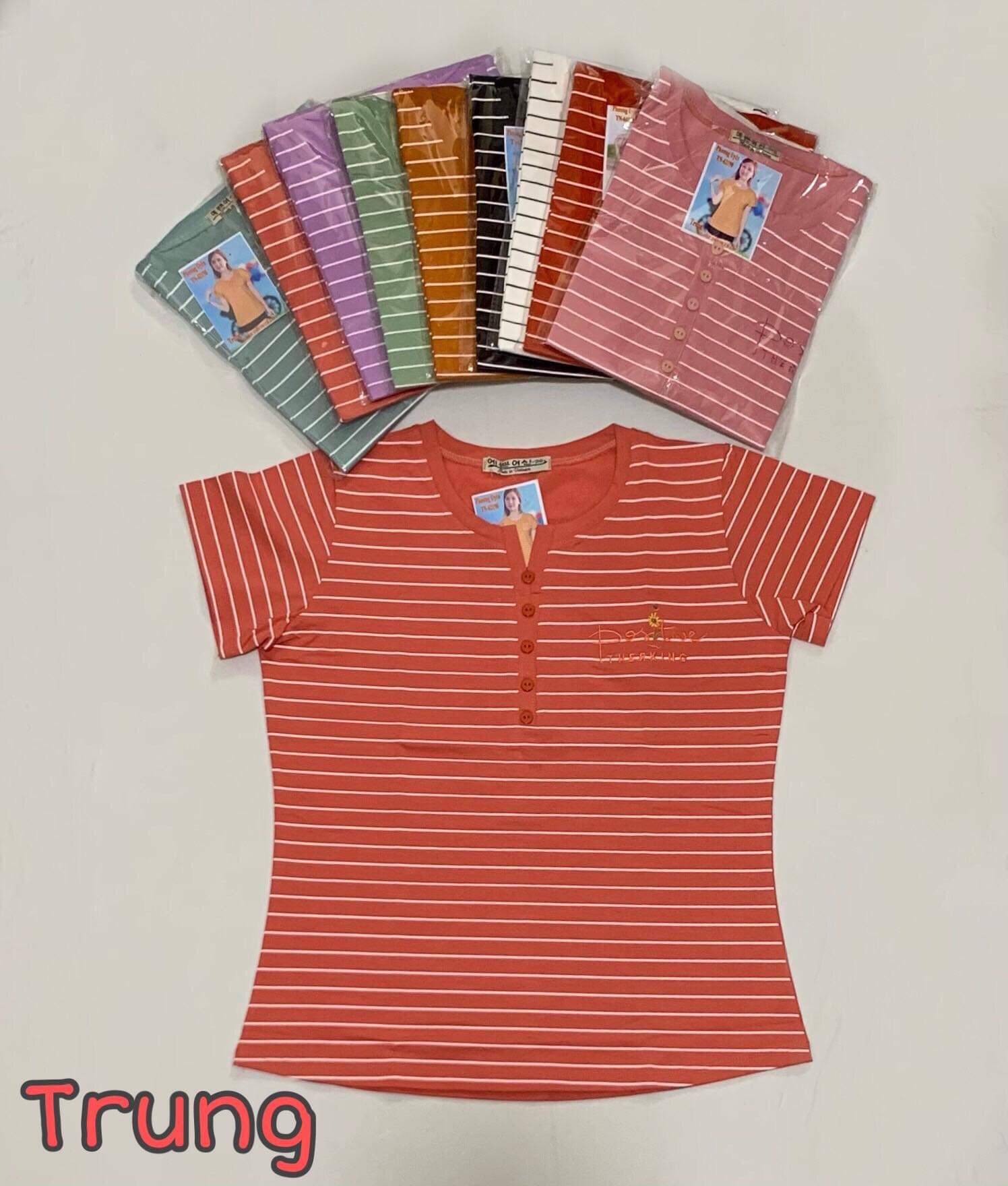 [HCM]Áo thun cotton Quảng Châu size 40-68kg (khách mua xem phần mô tả sản phẩm dùm shop nhé)