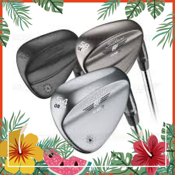 Gậy Golf  Kỹ Thuật