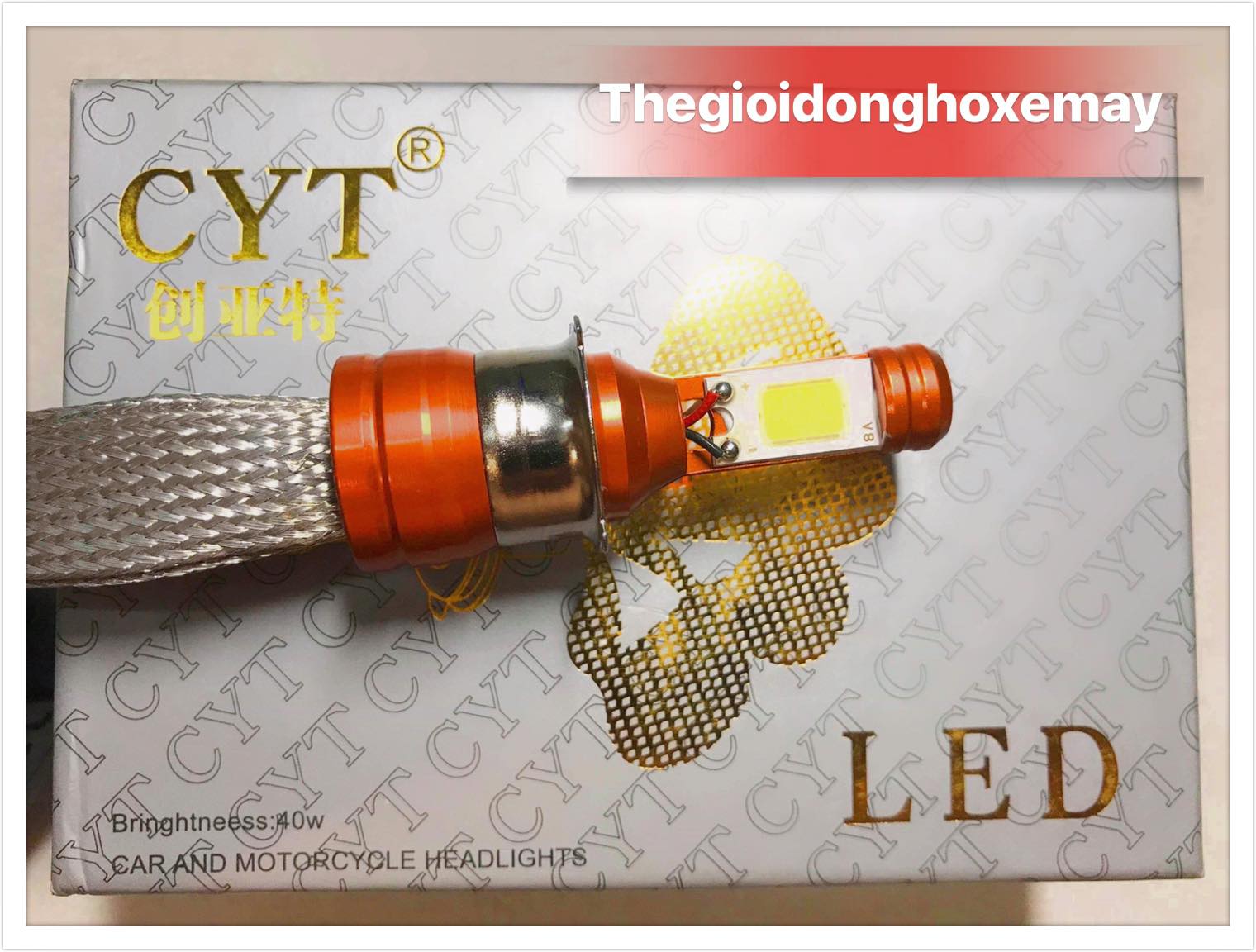 Đèn Pha Led CYT - Chân T19 - 2 Tim