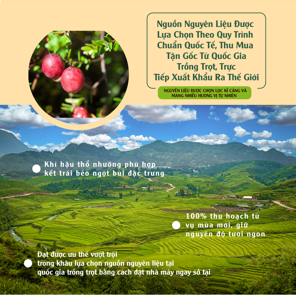 [Chính hãng] Nam việt quất nhập khẩu 150g Dan D Pak