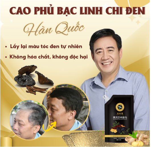 Dầu gội cao phủ bạc linh chi đen