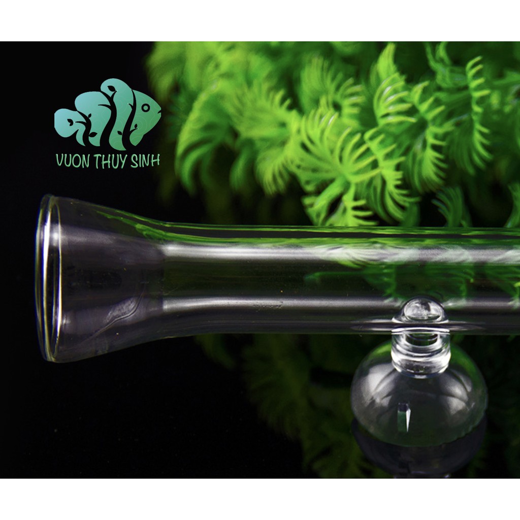 Ống thuỷ tinh cho tép ăn