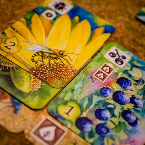 [US] Meadow - Trò Chơi Board Game