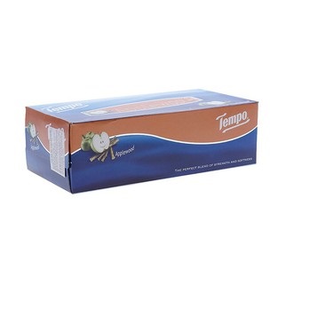 HCM- KHĂN GIẤY HỘP/90 TỜ TEMPO ĐỨC