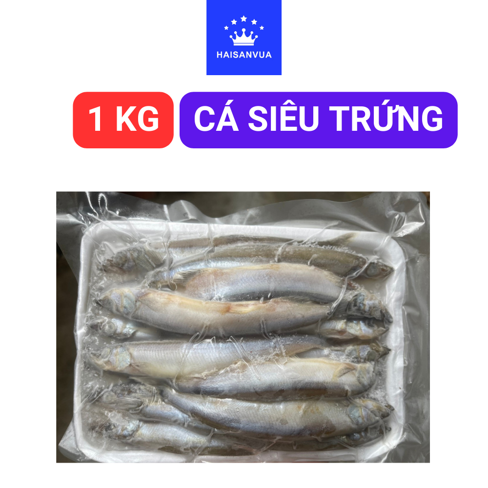 Cá siêu trứng HAISANVUA nhập khẩu Nauy đông lạnh tươi ngon bổ dưỡng Khay 500g-1 kg Giao hỏa tốc Hồ Chí Minh Đổi trả tận nhà