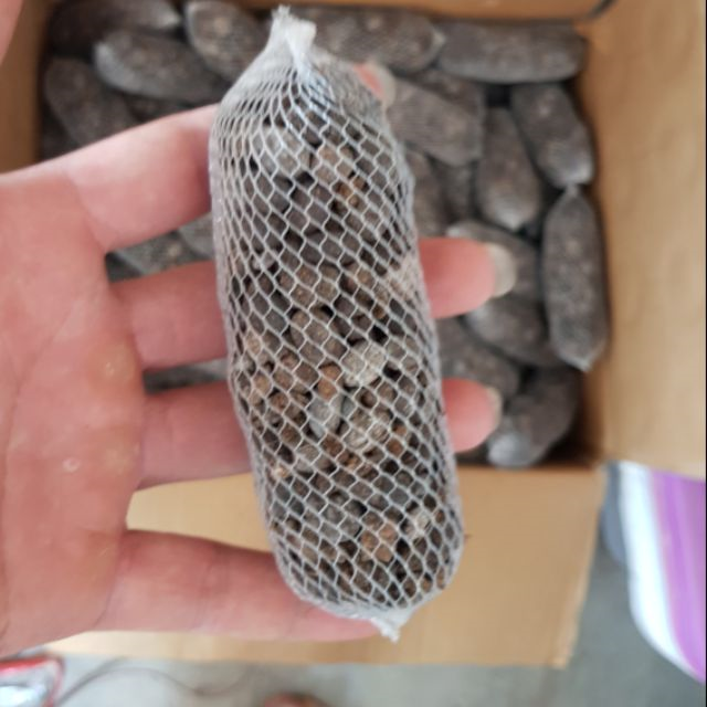 10 Phân Dê Túi Lưới Bón Cho Lan Đã Xử Lý 10cm