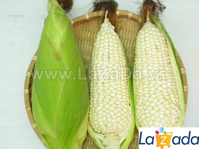 1kg hạt giống bắp nếp nù dẻo ngon