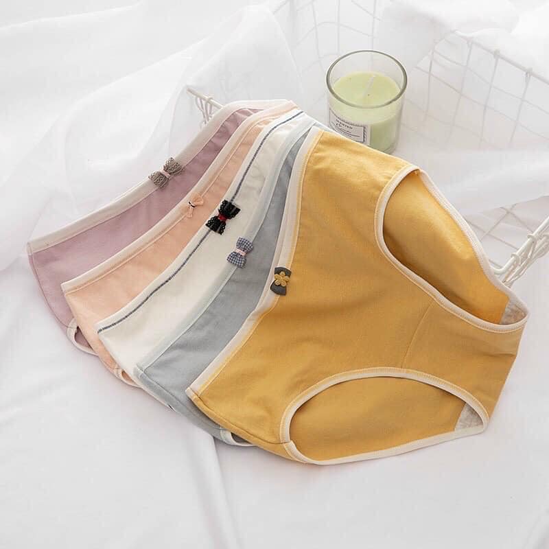 Lố 10 quần lót cotton nơ siêu tháng mát mã 1527
