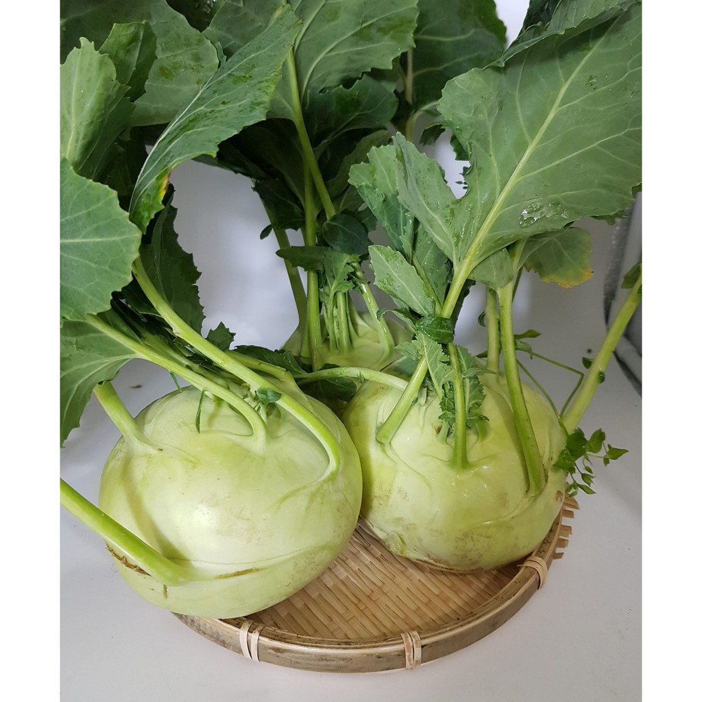 Hạt Giống Su Hào Xanh 2Gram