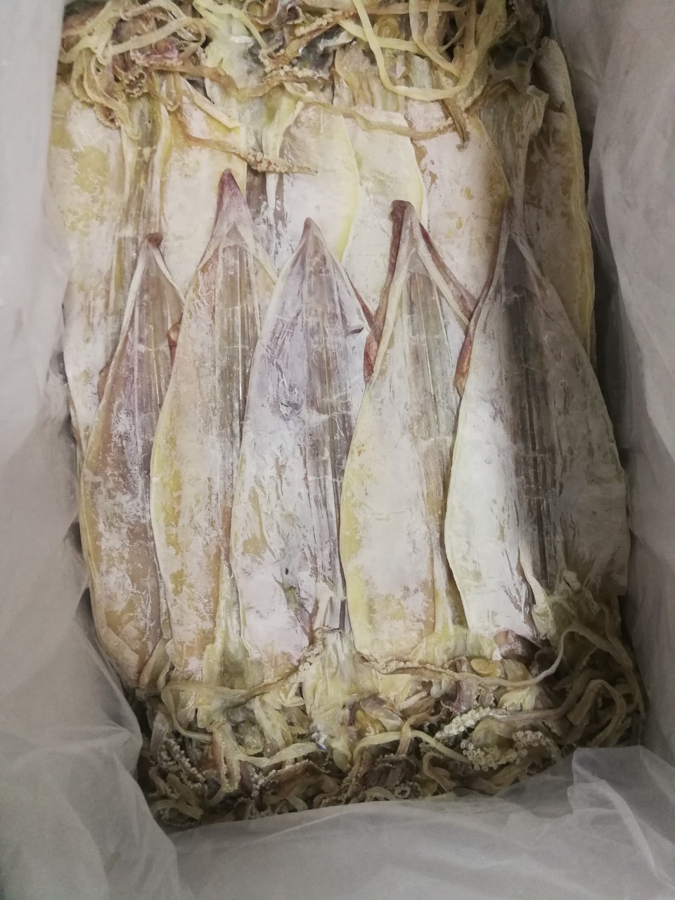 [ 500 gram ] Mực Khô Loại Sịn Size lớn ( 12- 14 Con) Cực Ngọt