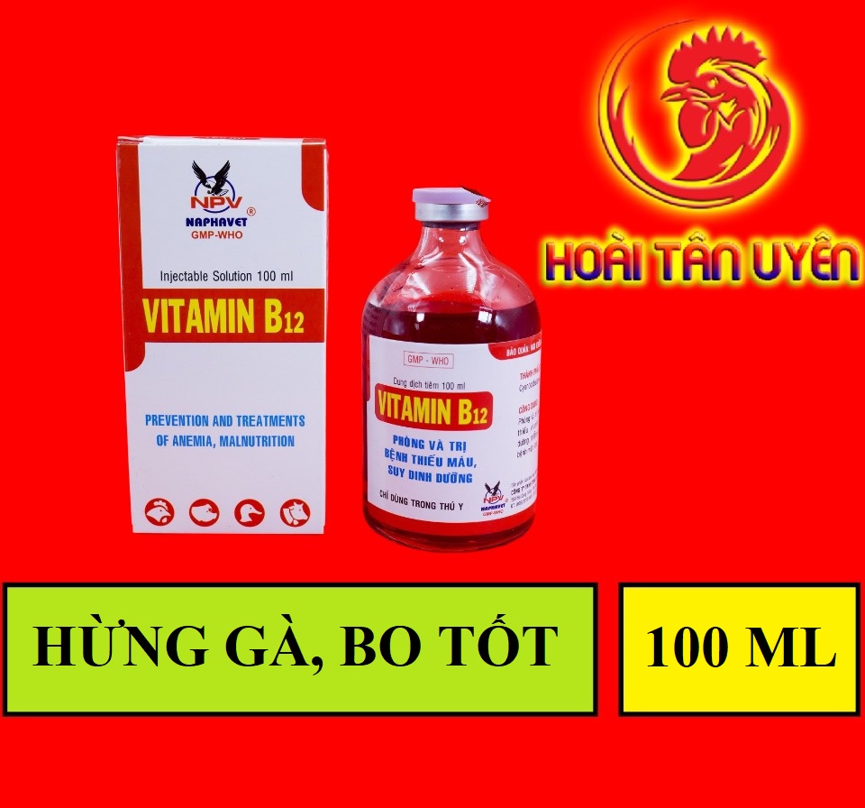 VITAMIN B12 dinh dưỡng cho gà đá 100ml