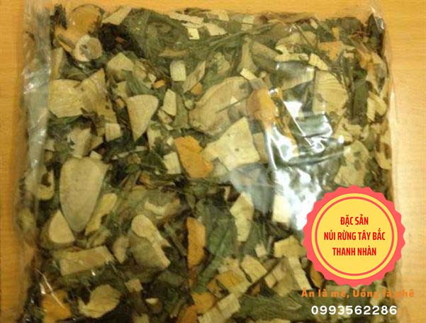 Cây Lá Gan Rừng