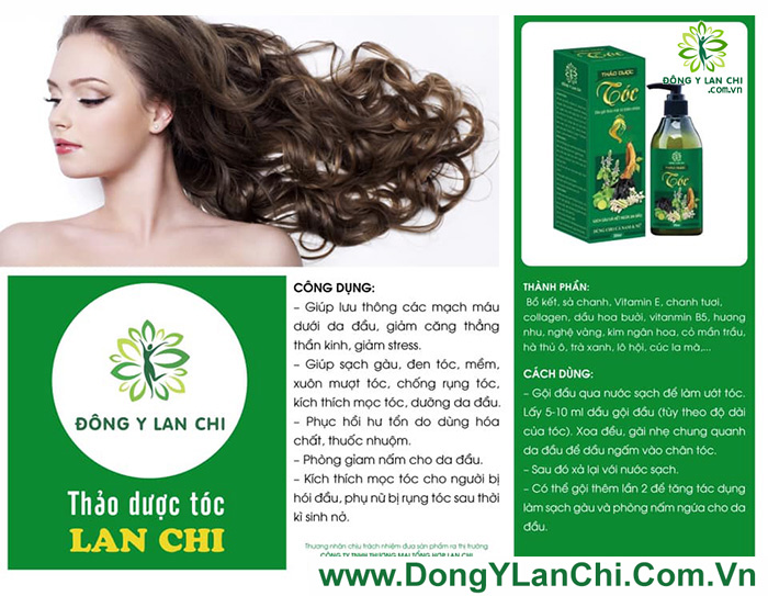 Dầu gội Thảo dược Đông Y Lan Chi