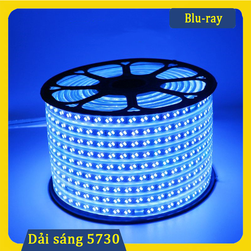 Dây đèn LED trang trí, dây LED quấn cây, trang trí trần phòng khách ...