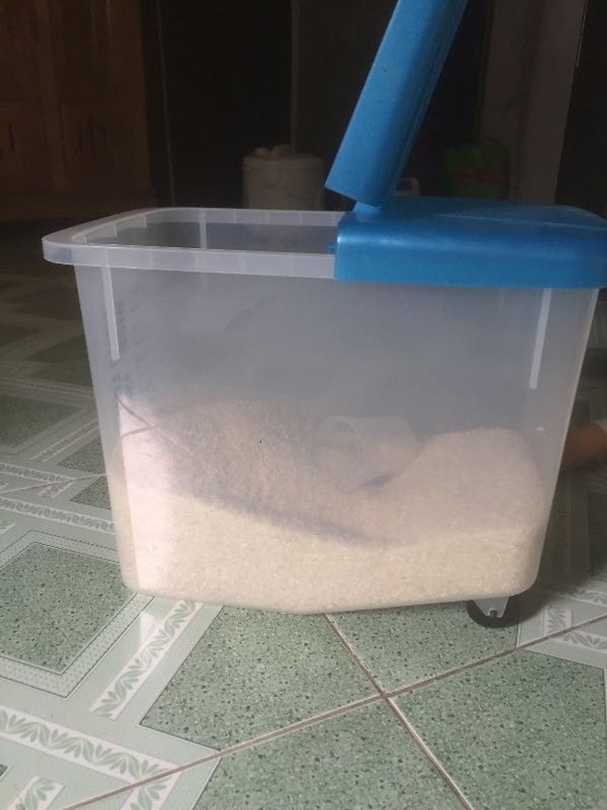 THÙNG GẠO 10KG CÓ BÁNH XE