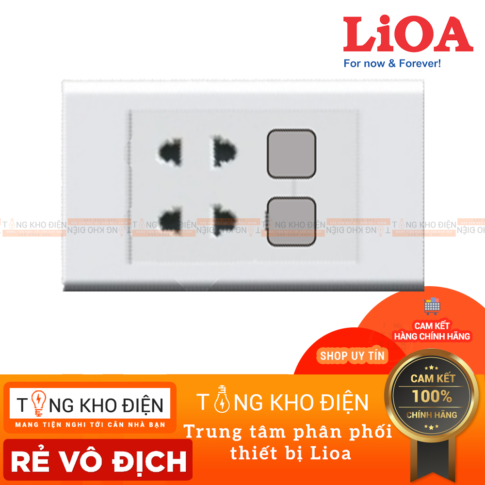 Mặt 2 ổ cắm + 2 lỗ LiOA , Nhựa TRẮNG - Tiếp điểm ĐỒNG