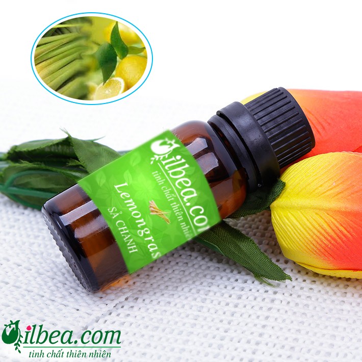 Tinh dầu sả chanh Ấn Độ 100ml