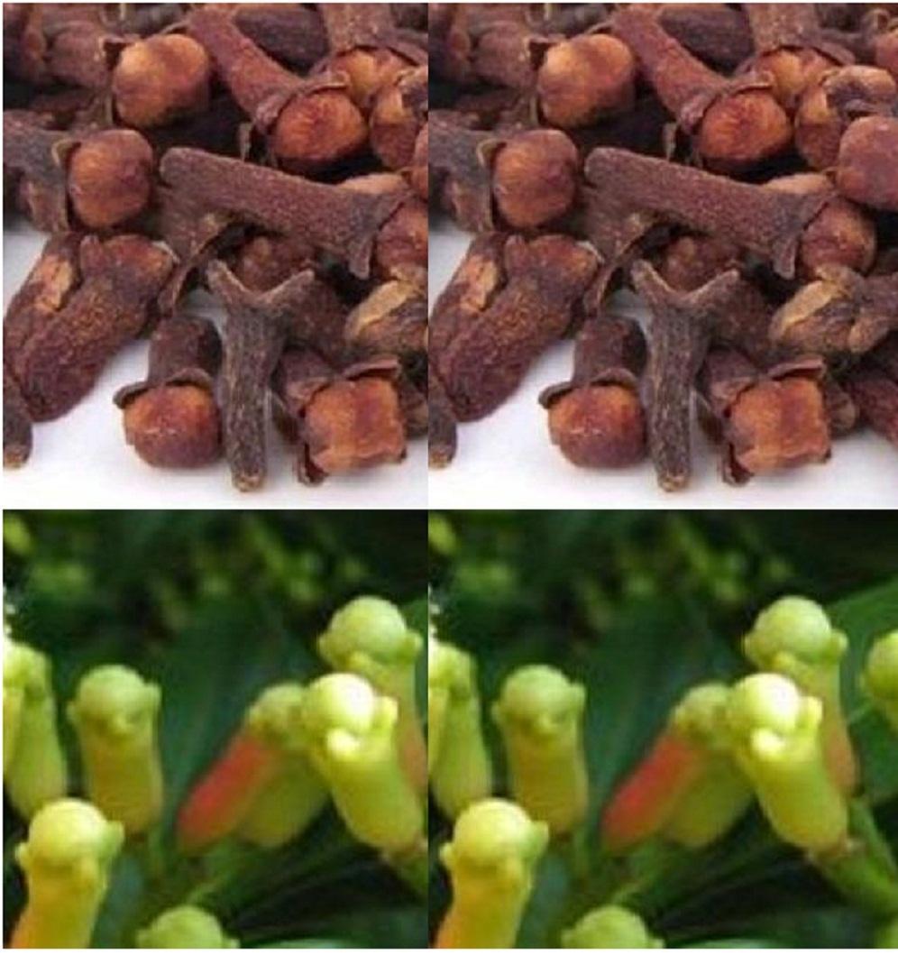 [HN]Đinh Hương (Nụ Đinh Hương Khô) Thảo Lộc Túi 50g