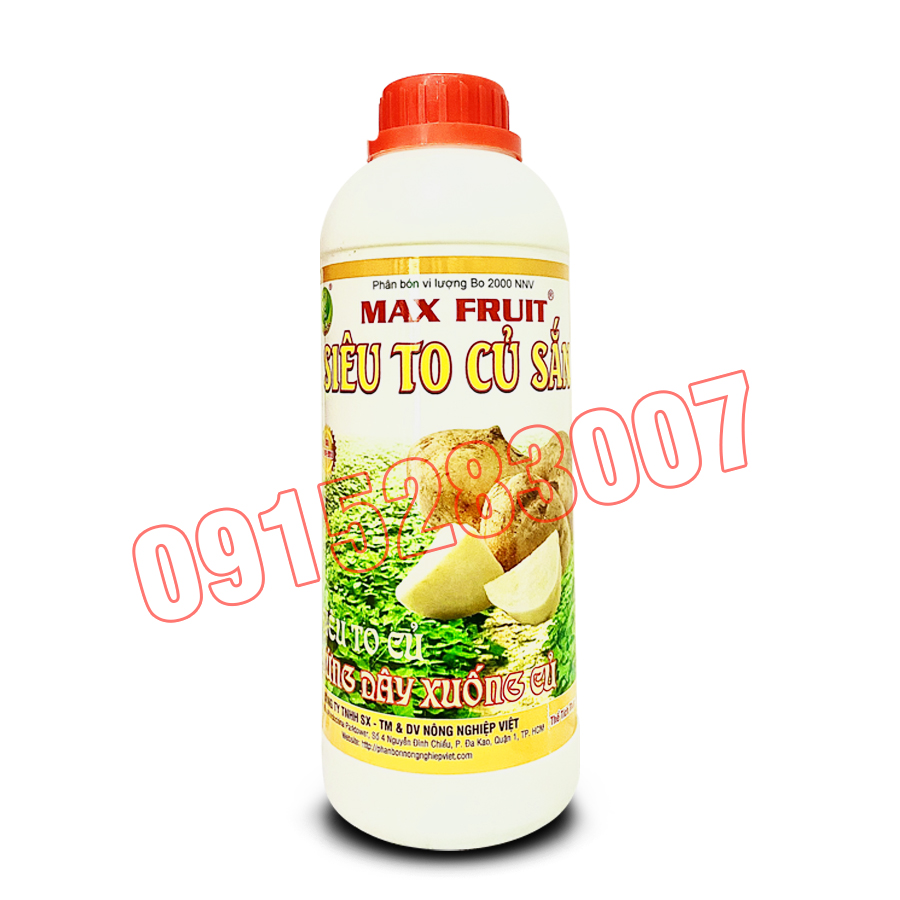 MAX FRUIT SIÊU TO CỦ SẮN 1 LÍT