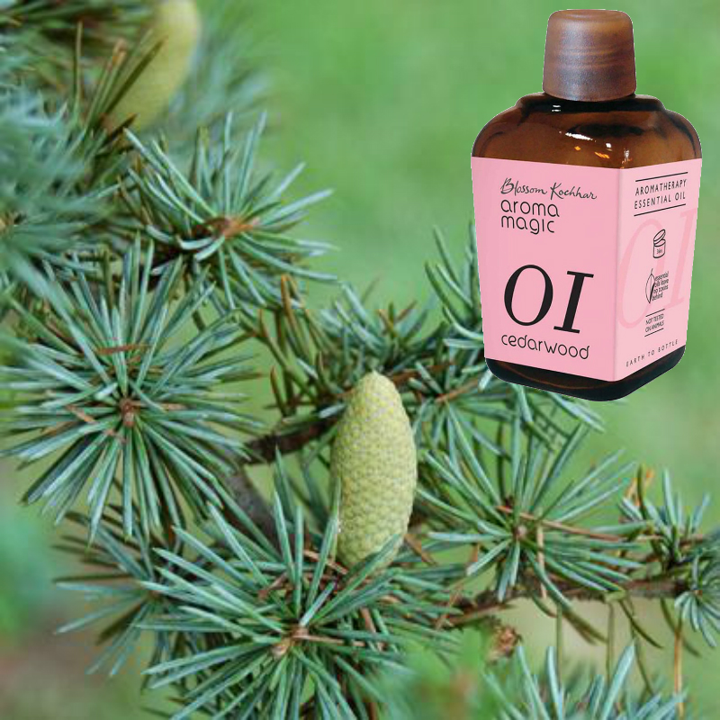 Tinh dầu hoàng đàn Aroma Magic Cedarwood Essential Oil