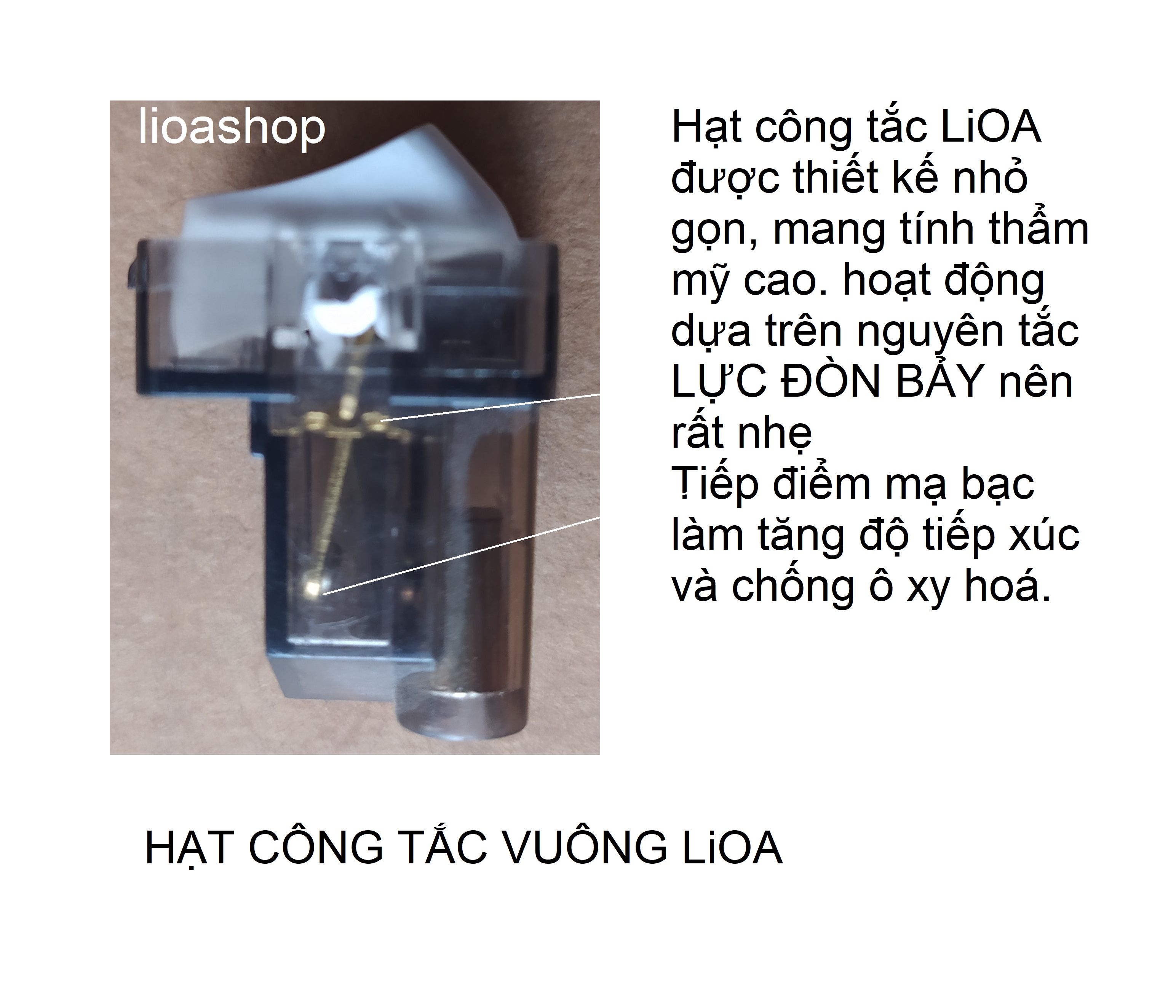 BỘ 2 HẠT CÔNG TẮC VUÔNG 1 CHIỀU VÀ 2 CHIỀU - 10A LiOA.