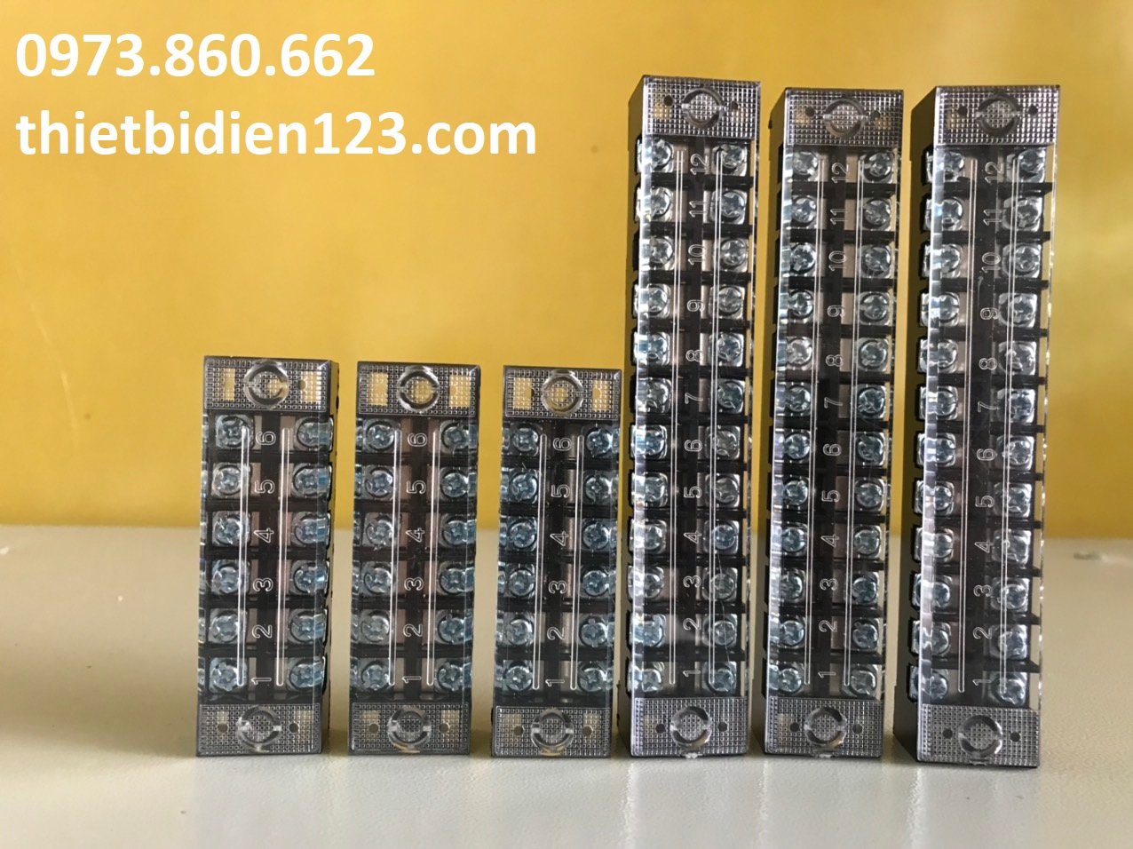 Cầu đấu điện 15A, 25A, 45A, 60A 4 mắt 6 mắt, 12 mắt - Domino điện