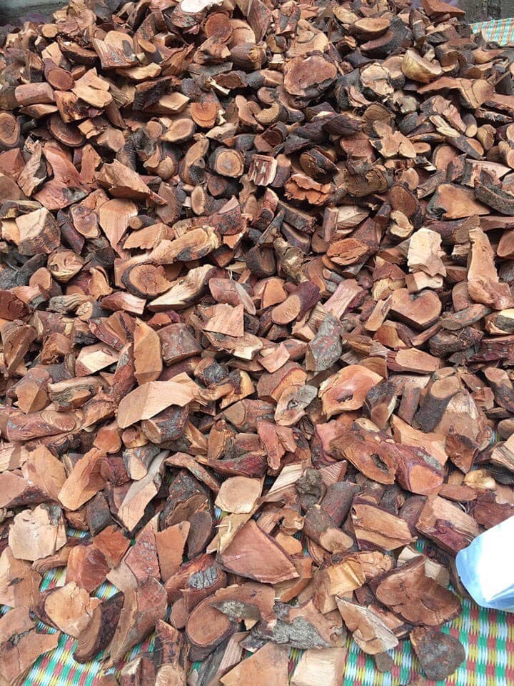 [HCM]Rể cây Mú Từn - 100% rể cao cấp (1kg)